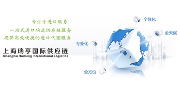 上海全套代理紙尿褲進(jìn)口通關(guān)及國內(nèi)貿(mào)易代理服務(wù)指南