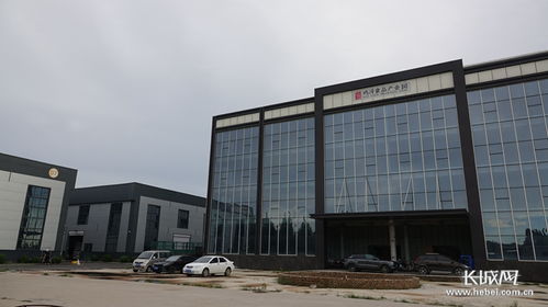 節約集約用地看河北②丨雞澤 食品園區變身 集約共享工廠 國內貿易代理